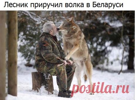 Знаете ли Вы?