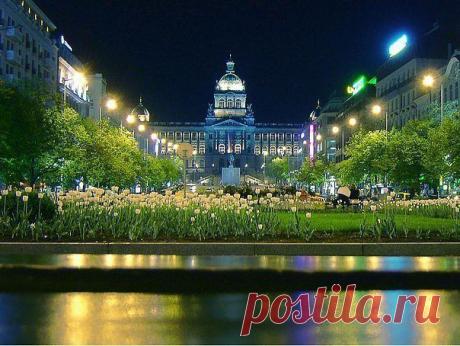 Лучшие фотографии