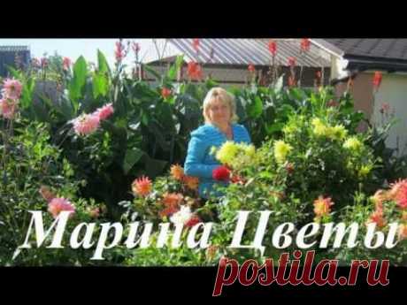 МУРАВЬИ ! ! ! ВСЕ КО МНЕ ! - YouTube