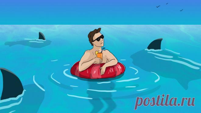 "Максимум – укусит": заплывы с акулами на Мальдивах назвали безопасными. Заплывы с акулами на Мальдивах безопасны, но только при условии, что туристы будут соблюдать все требования. Водятся там только два вида акул – рифовые и няньки, которые на людей нападают только в исключительных случаях, заявила ...
