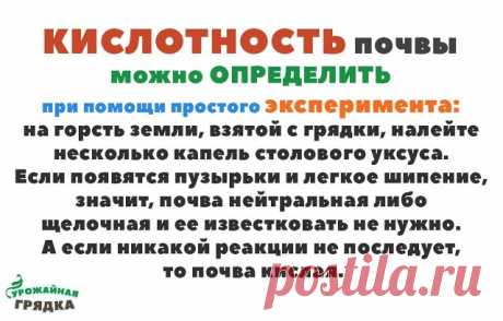 (4) Одноклассники