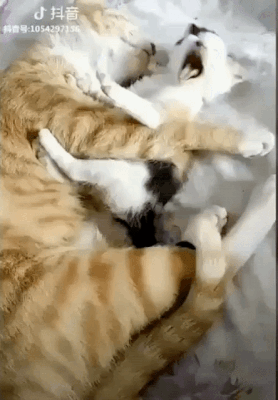 GOOFY GIFS TO MAKE YOU GRIN | CutesyPooh