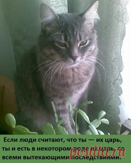 Мировые секреты | Яндекс Дзен