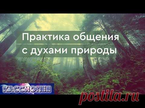 #102 Практика общения с духами природы (плазмоидами) | Команда "Кассиопеи" в Крыму 

Практика общения с духами природы (плазмоидами) на ретрите. Команда "Кассиопеи" в Крыму