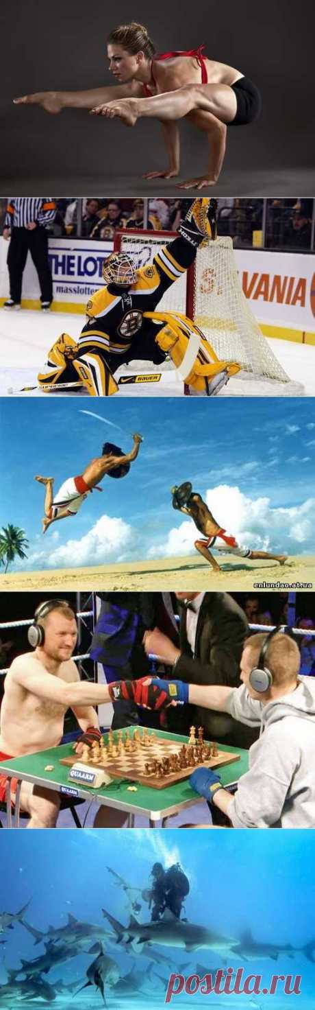 Ракетбол, Блицспринт, Велосипедный спорт, Ойна. (1/1) - Спортивный форум. - Спортивный сайт