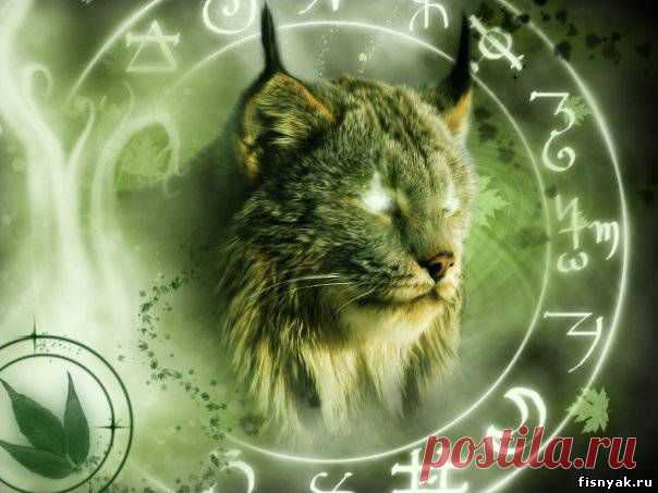 Самый короткий и правдивый гороскоп.