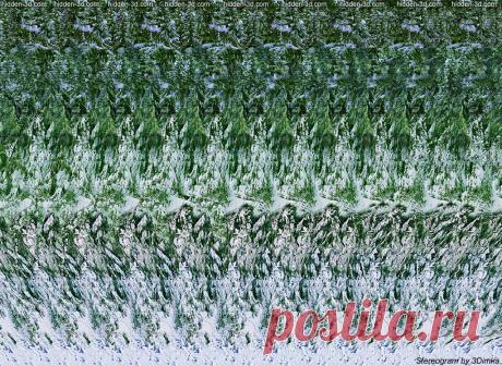 Стереокартинки. (Продолжение 8.) / Фотошоп и я.
