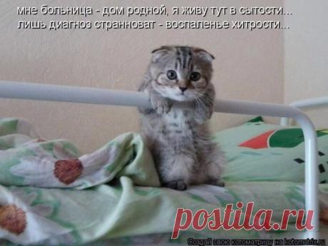 хх