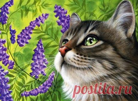 Я в Раю???