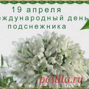 19 апреля Всемирный День подснежника.. - МирТесен