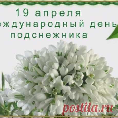 19 апреля Всемирный День подснежника.. - МирТесен