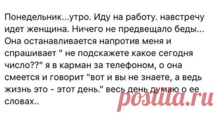 Смешные и добрые историй для хорошего настроения