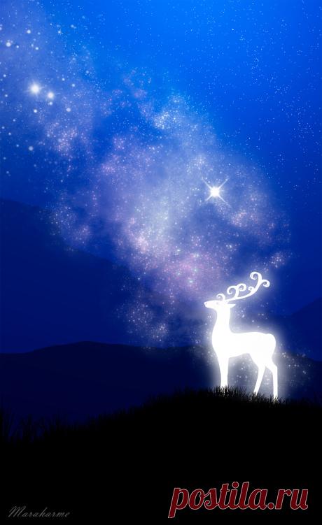 ArtStation - White deer, _ Maraharme _