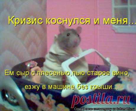 Кризис коснулся и меня: ем сыр с плесенью, пью старое вино, езжу на машине без крыши