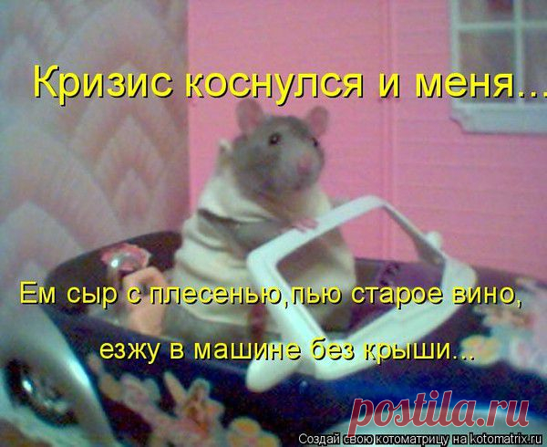 Кризис коснулся и меня: ем сыр с плесенью, пью старое вино, езжу на машине без крыши