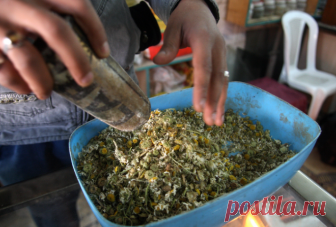 Эта трава способна вылечить от многих женских болезней Женщин часто называют слабым полом, и особенно это справедливо в отношении женского здоровья — его легко и быстро можно потерять и так сложно восстановить. На начальном этапе многие недуги можно одоле…