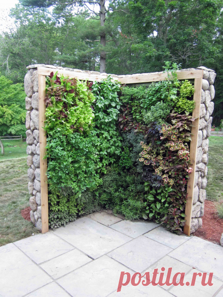 Herb-Wall.jpg (Изображение JPEG, 3000 × 4000 пикселов) - Масштабированное (21%)