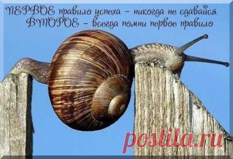 В этот кризис выживут только мягкие, тихие &quot;улиточки&quot;...
Экономические спады 1998 и 2008 годов были циклическими: мы упали и поднялись. А сейчас кризис турбулентный. Это означает, что дна у него нет, поскольку он охватил все стороны жизни: показал неэффективность внутреннего управления, сопровождается изоляцией и падением цен на нефть, санкциями. Круче не бывает - все одновременно...