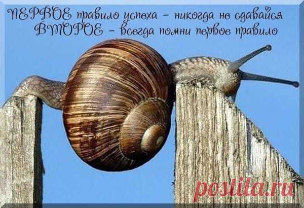 В этот кризис выживут только мягкие, тихие "улиточки"...
Экономические спады 1998 и 2008 годов были циклическими: мы упали и поднялись. А сейчас кризис турбулентный. Это означает, что дна у него нет, поскольку он охватил все стороны жизни: показал неэффективность внутреннего управления, сопровождается изоляцией и падением цен на нефть, санкциями. Круче не бывает - все одновременно...
