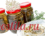 ЛЕЧЕБНЫЙ СИРОП ДЛЯ ПЕЧЕНИ, ПОЧЕК И ЖКТ