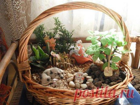 МИНИАТЮРНЫЙ САД