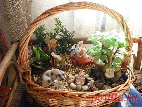 МИНИАТЮРНЫЙ САД