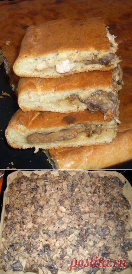 Пирог с курицей и грибами из бездрожжевого теста на кефире | Четыре вкуса