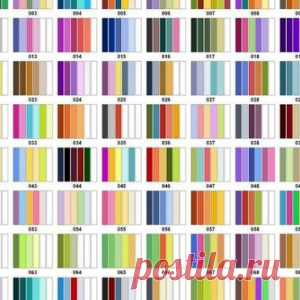 Мужчина приютил «самого нежеланного» кота в приюте! А когда пошел спать, случилось нечто чудесное - МирТесен