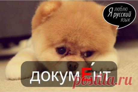 Стена