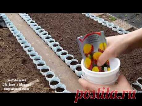 БОРДЮР КЛУМБА ИЗ ПЛАСТИКОВЫХ БУТЫЛОК