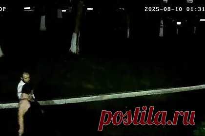 Неизвестный мужчина изнасиловал россиянку на трассе и попал на видео