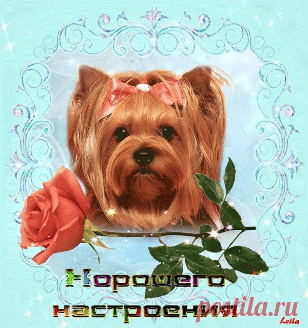 0_1419dc_9aabf530_orig (600×638)