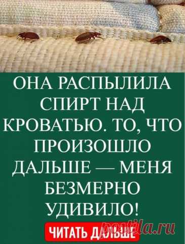 ОНА РАСПЫЛИЛА СПИРТ НАД КРОВАТЬЮ. ТО, ЧТО ПРОИЗОШЛО ДАЛЬШЕ — МЕНЯ БЕЗМЕРНО УДИВИЛО!