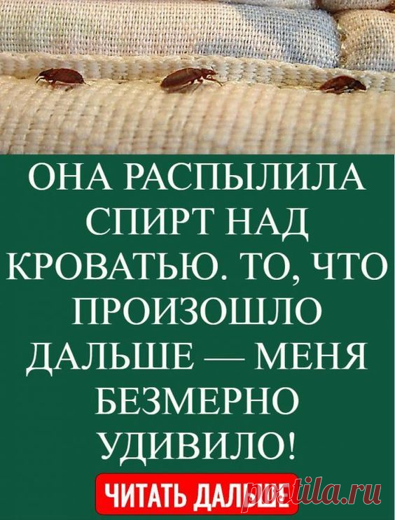 ОНА РАСПЫЛИЛА СПИРТ НАД КРОВАТЬЮ. ТО, ЧТО ПРОИЗОШЛО ДАЛЬШЕ — МЕНЯ БЕЗМЕРНО УДИВИЛО!