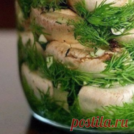 Малосольные ШАМПИНЬОНЫ на скорую руку – мировой рецептик!