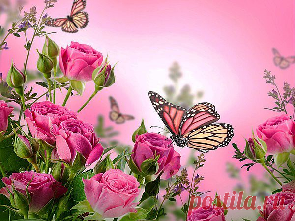 Мой Мир@Mail.Ru