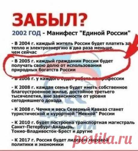 Rados VARG - на Мой Мир@Mail.ru