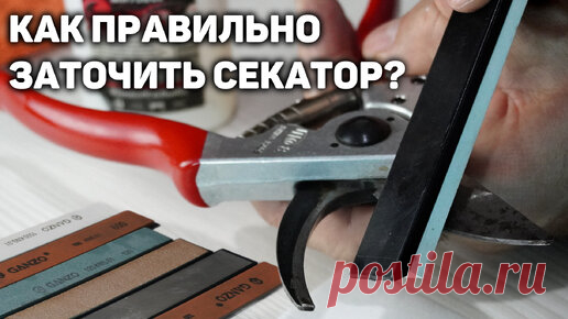 Как правильно заточить секатор? ✂️ | Давид Алверцян | Дзен