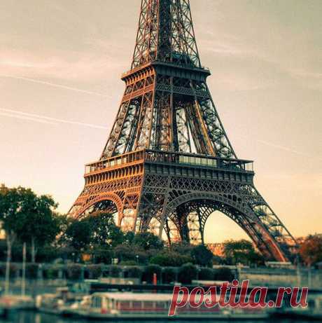 (86) Pinterest