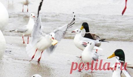 27.01.2021 Феодосия, пробежалась по набережной)