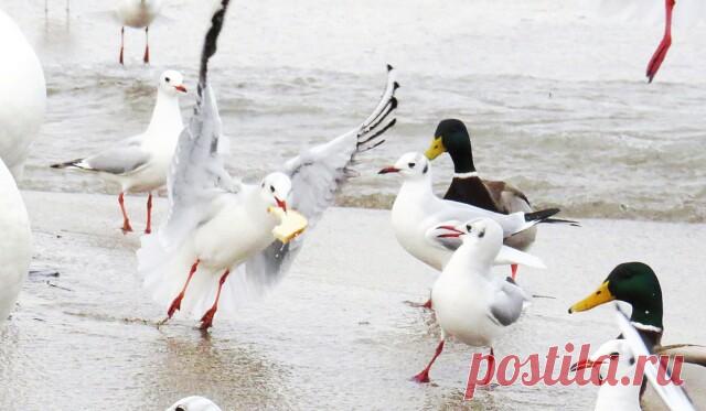 27.01.2021 Феодосия, пробежалась по набережной)