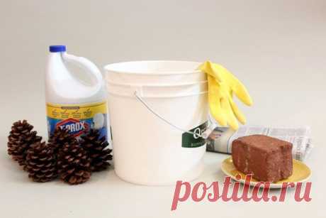 Как отбелить сосновые шишки