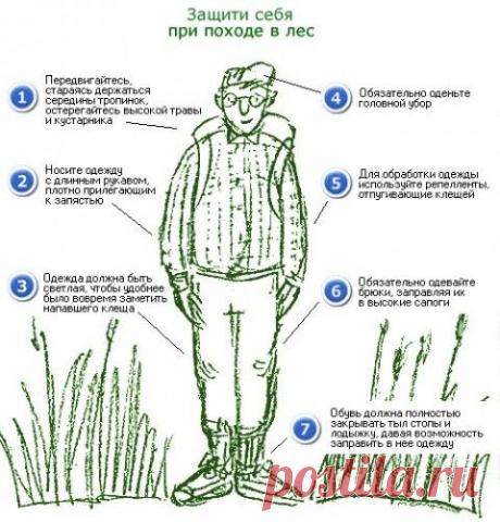 Я не жадный, я домовитый, или Как уменьшить коммунальные платежи за квартиру