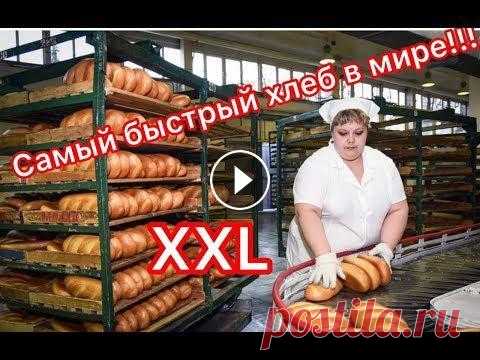 Хлеб  за 1,5 минуты в микроволновке. Реально? Быстрый ЗОЖ хлеб Всем привет!!! Сегодня мы будем пробовать печь ЗОЖ хлеб в микроволновке. Нам понадобятся овсяные отруби 3 столовые ложки, 2 куриных яйца, семена. Что ...