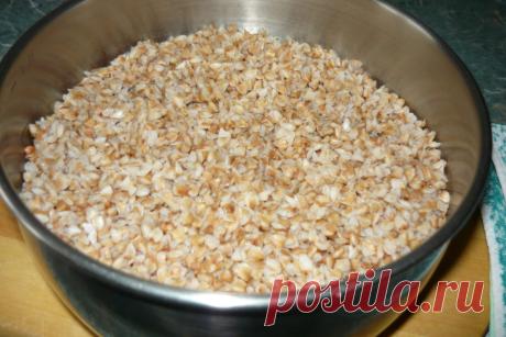 Как приготовить гречку, чтобы сохранить все полезные свойства - ПенсионерТайм