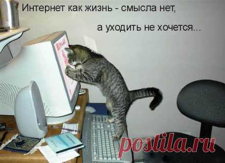 Интернет