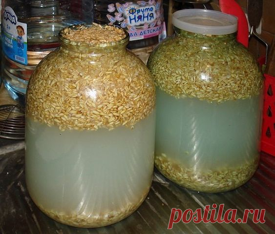 Квас из овса – исконно русский напиток