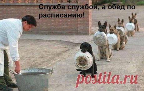 (3) Одноклассники