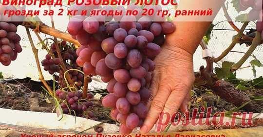 (19) Facebook