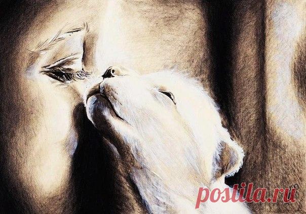 Я - суперпупер! Сайт любителей похвастаться